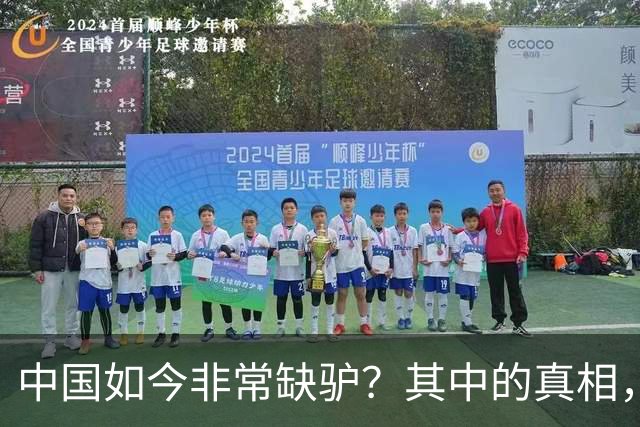 中国如今非常缺驴？其中的真相，比你想象的还要荒诞得多