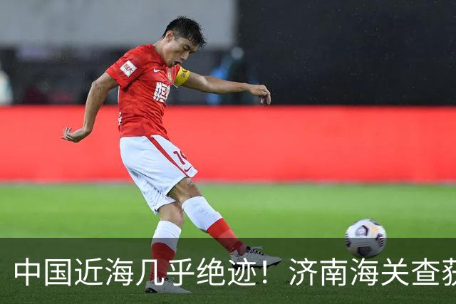 中国近海几乎绝迹！济南海关查获17只手镯，竟是由极危'国宝'制成
