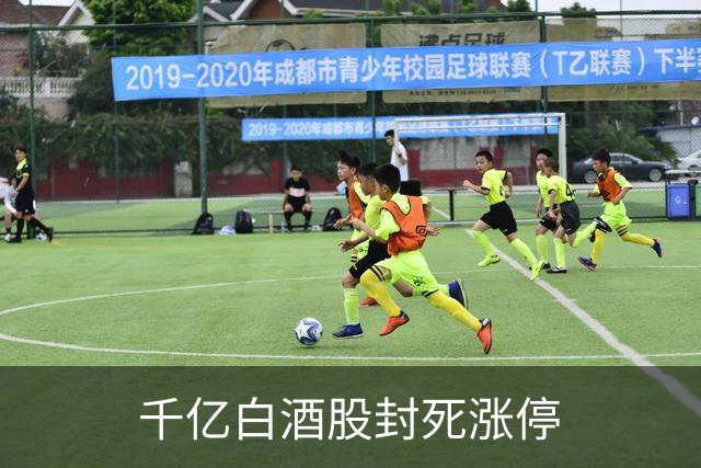 千亿白酒股封死涨停