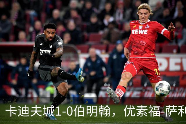 卡迪夫城1-0伯明翰，优素福-萨利赫一击制胜