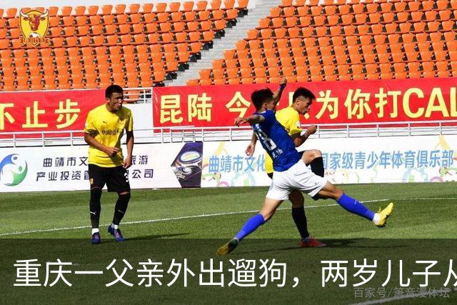 重庆一父亲外出遛狗，两岁儿子从家中坠亡，最新进展：孩子父亲怕妻子轻生事后装防护网，澄清“对狗更好，回家先抱狗”